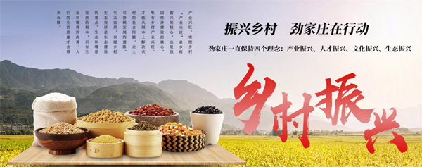 劲家庄食品加盟